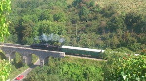View of Steam Train from Corfe Castle